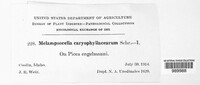 Image Associated With the Occurence